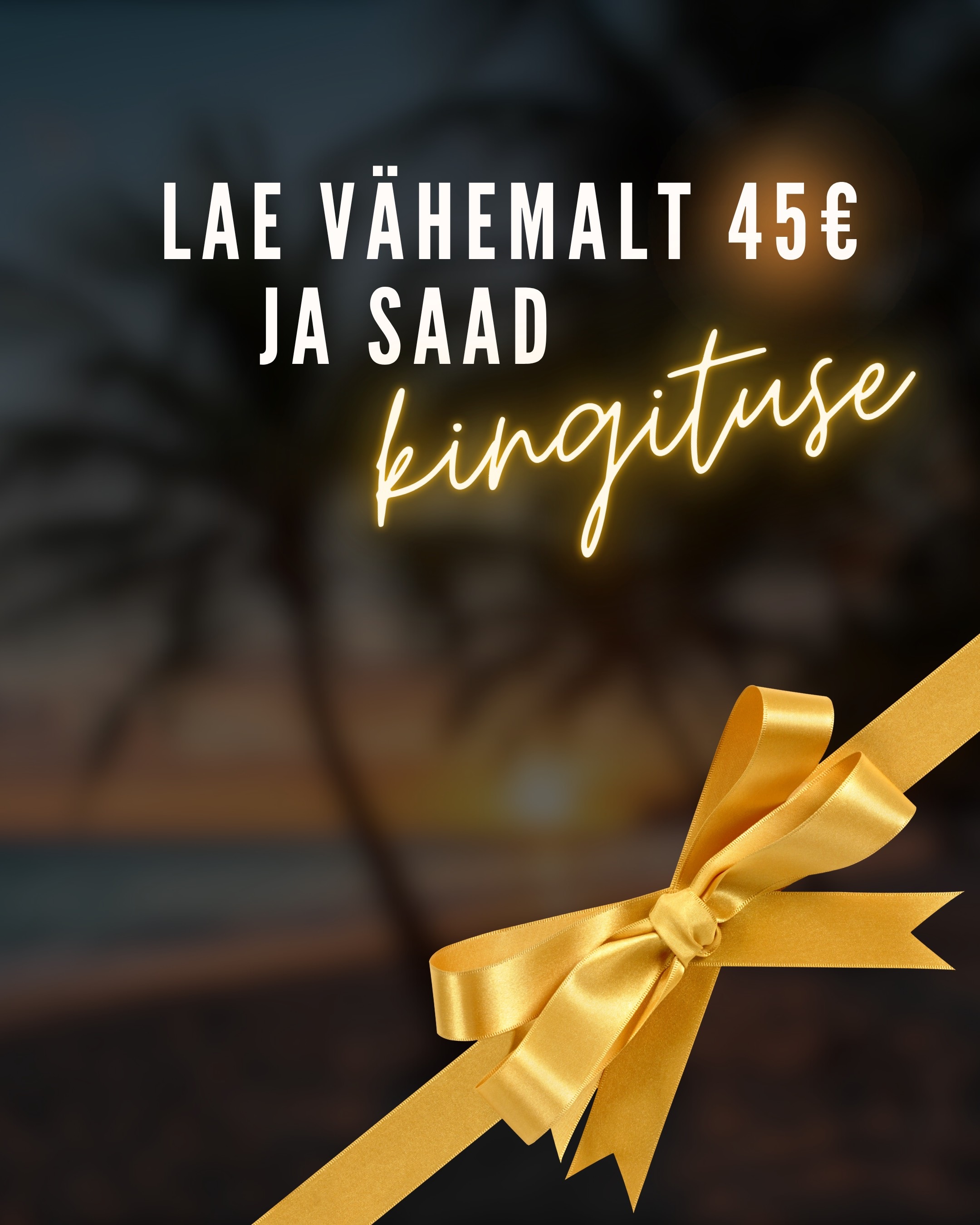 Laadimiskampaania 3